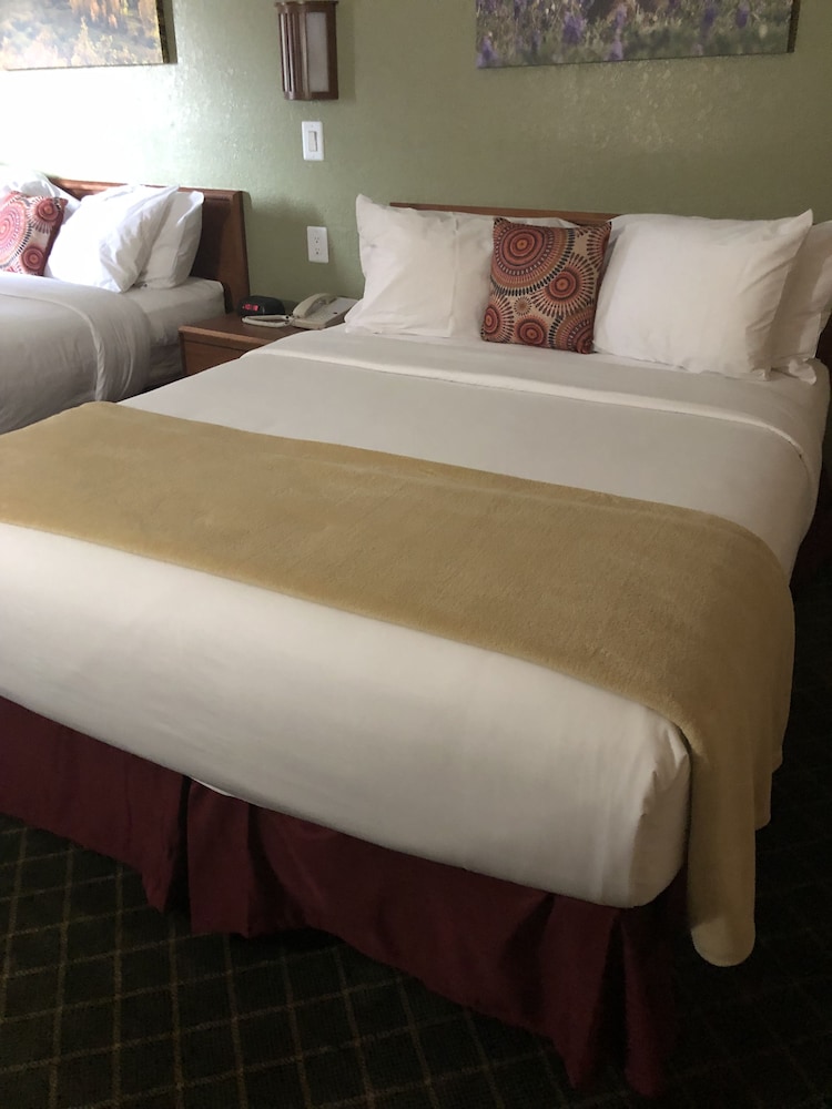 Basic Room, 2 Queen Beds photo 3