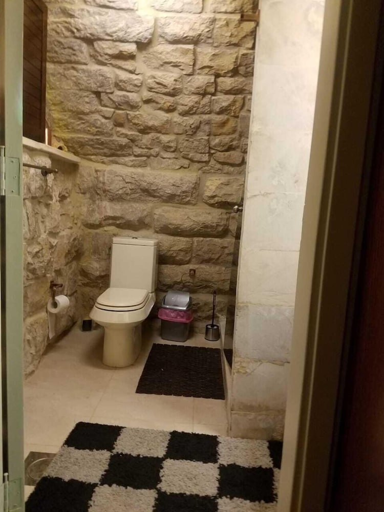 Suite, Living Room, Private Bathroom, Kitchen photo 2
