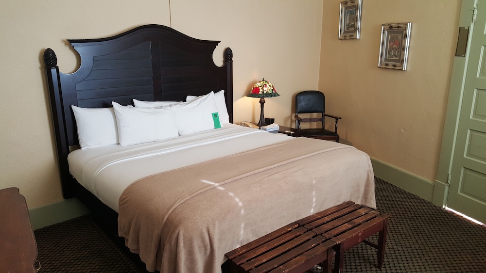 Premium Single Room, 1 King Bed photo 3