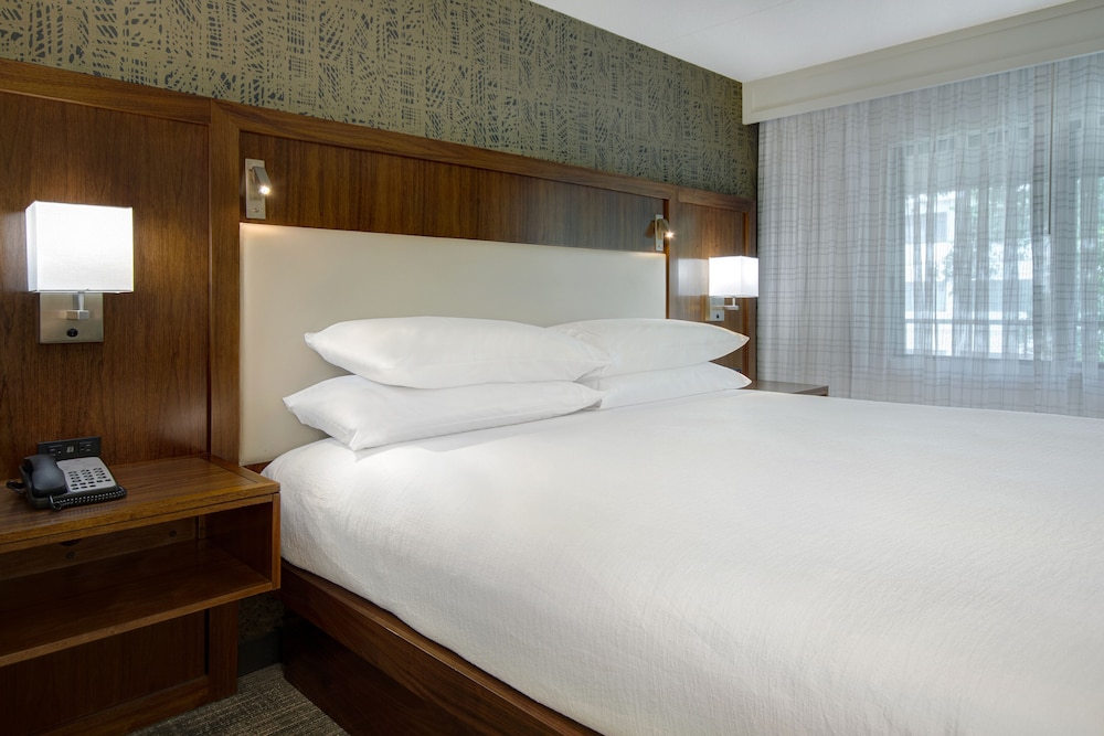 Suite, 1 King Bed, Accessible, Bathtub photo 2