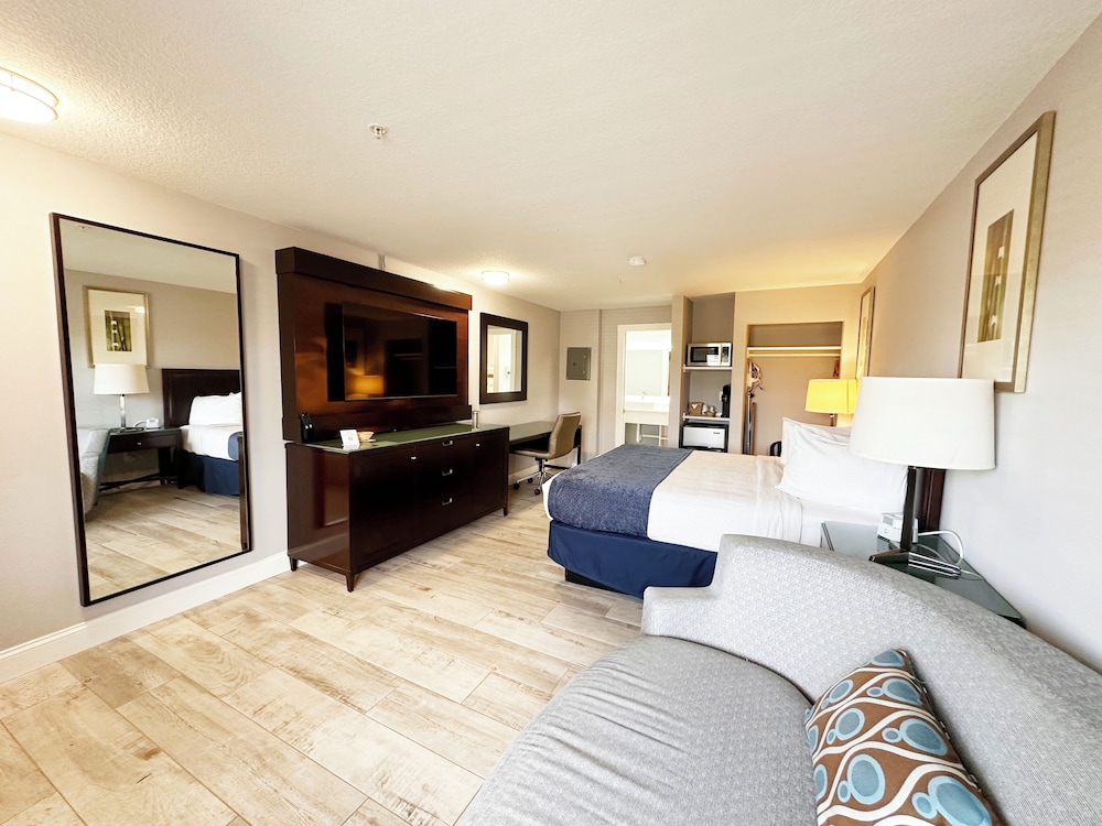 Deluxe Room, 1 King Bed with Sofa bed, Non Smoking, Refrigerator & Microwave (Walk-In Shower) photo 3