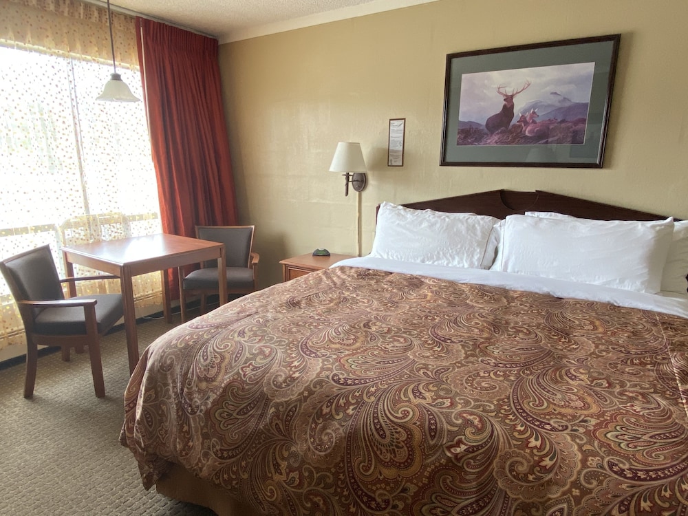 Studio, 1 King Bed, Kitchenette photo 3