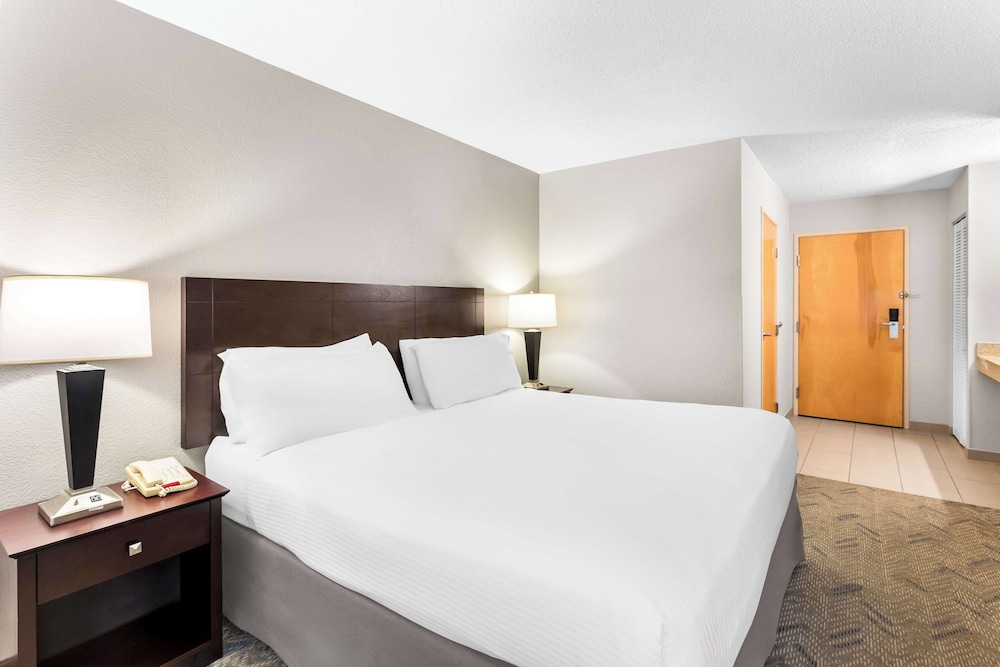 Standard Room, 1 King Bed, Accessible, Refrigerator & Microwave - Photo 2