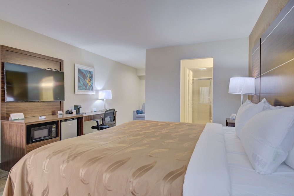 Standard Room, 1 King Bed, Non Smoking photo 3