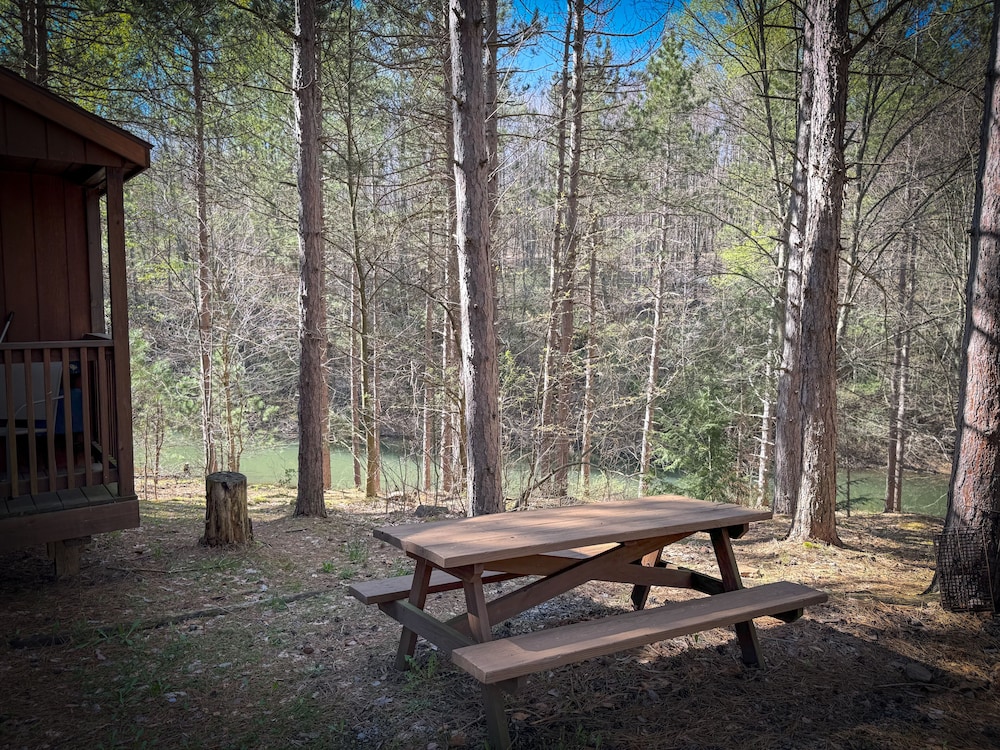 Senior Cabin photo 2