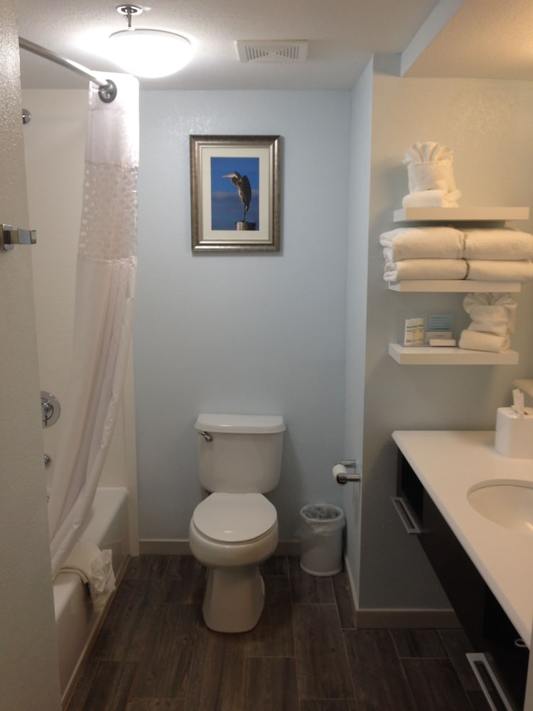 Room, 1 King Bed, Accessible, Bathtub (Mobility & Hearing) - Photo 4