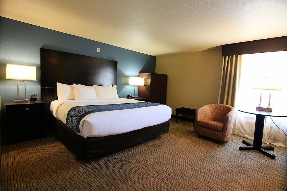 Standard Room, 1 King Bed, Non Smoking - Photo 4