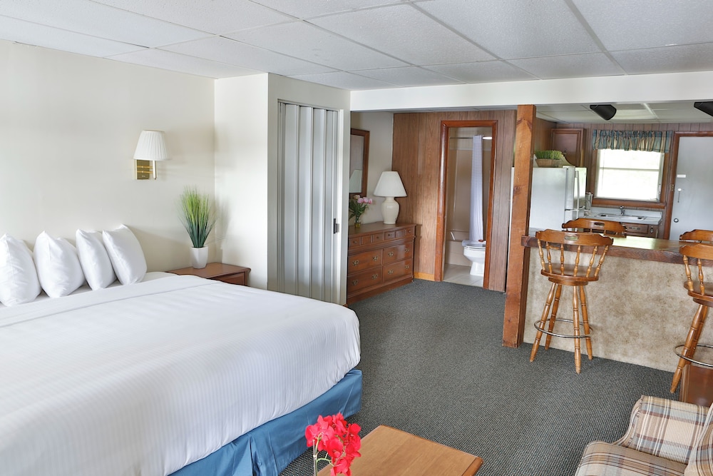 Studio King Suite with Kitchen & Lake Views - Photo 1