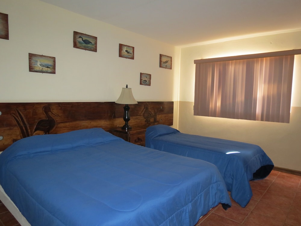 Classic Room - Photo 9