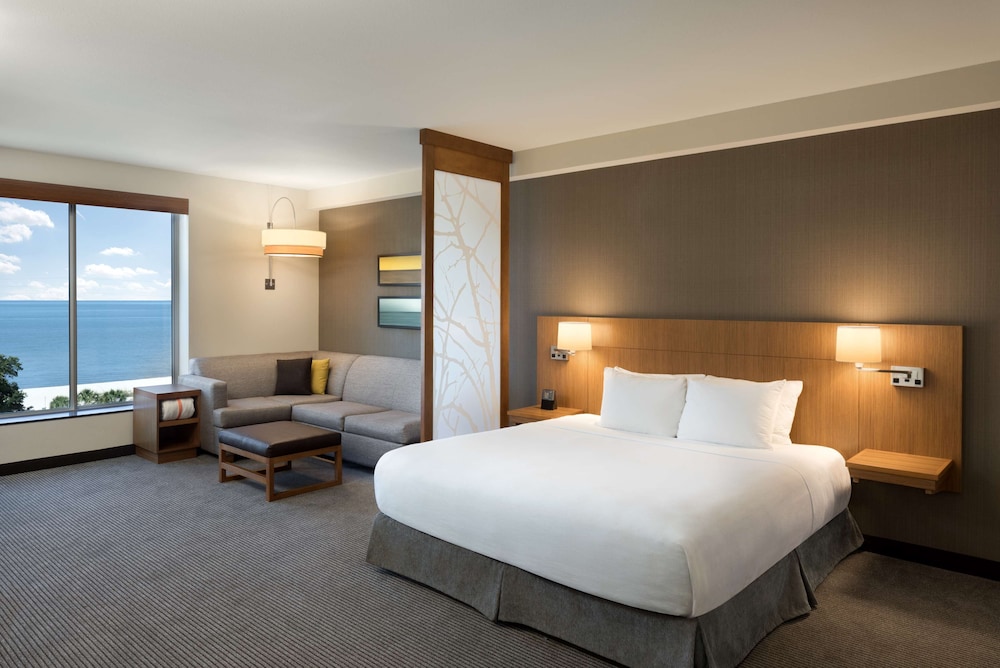 Room, 1 King Bed with Sofa bed, Accessible, Bathtub (With Tub)