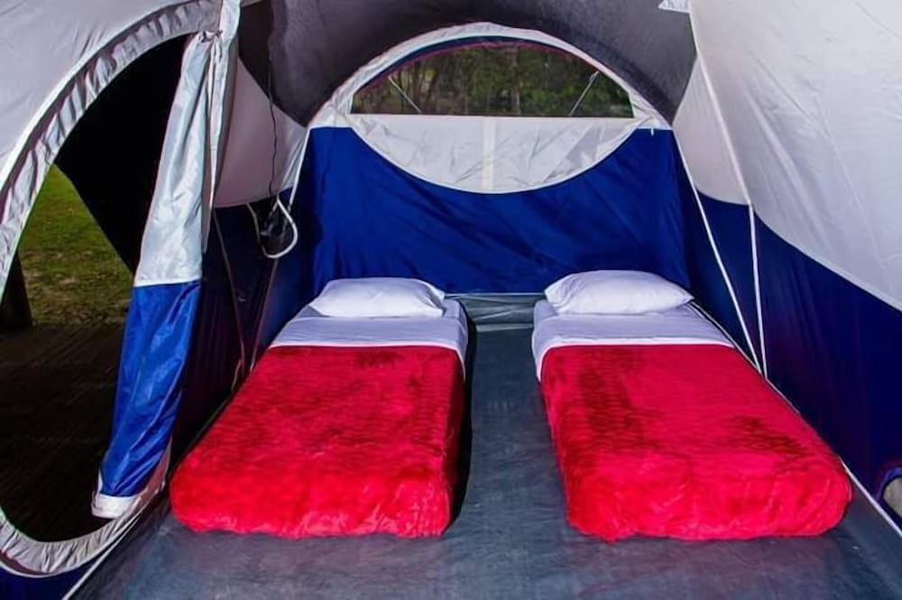 Design Tent photo 2