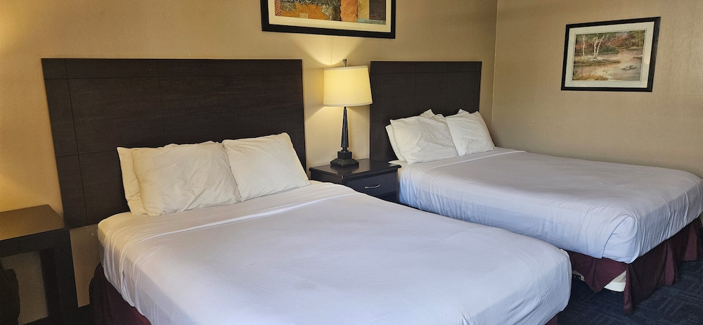 Deluxe Double Room, 2 Queen Beds photo 2