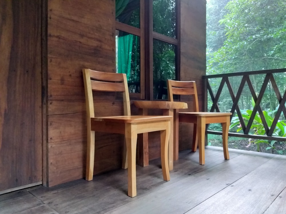 Family Cabin, 2 Double Beds, Shared Bathroom photo 1