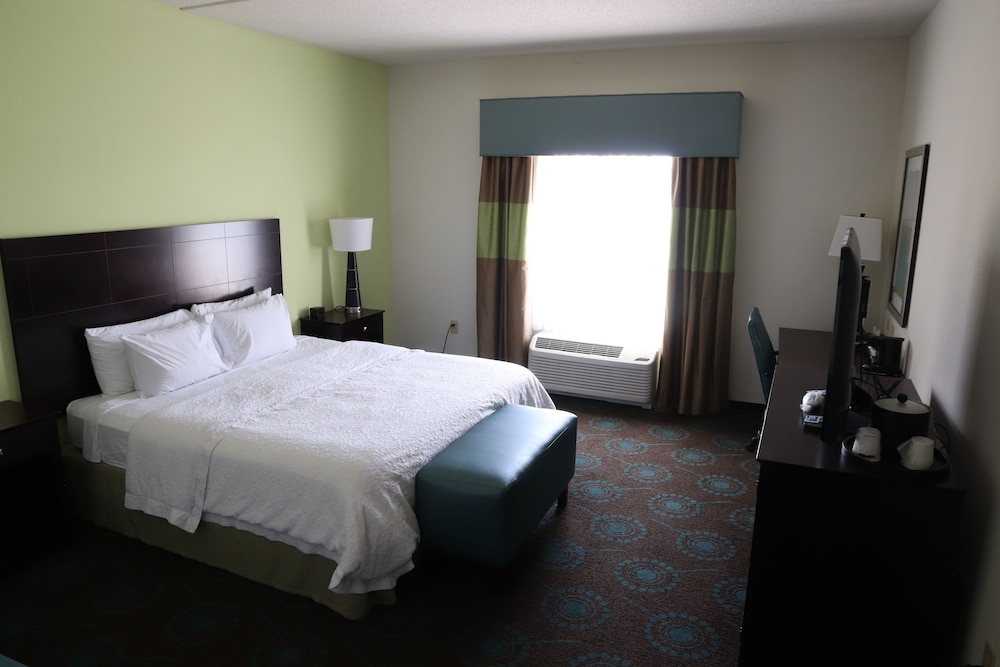 Room, 1 King Bed, Accessible photo 1