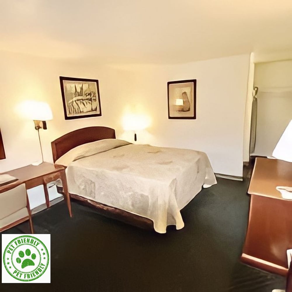 Room, 1 Queen Bed, Pet Friendly