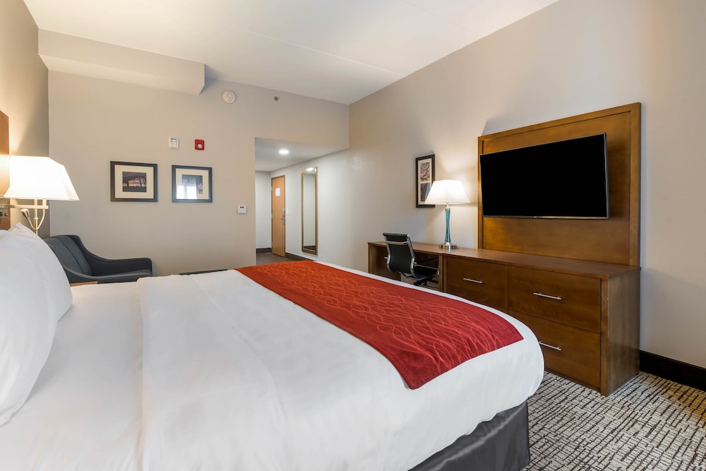 Suite, 1 King Bed with Sofa bed, Non Smoking - Photo 2
