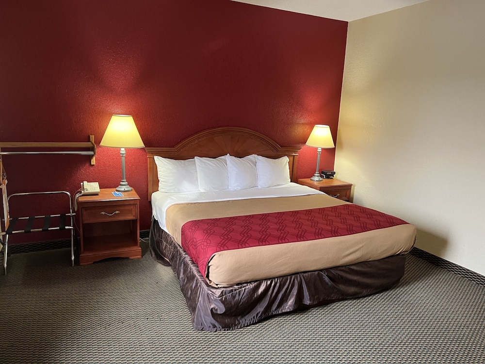 Basic Single Room, 1 King Bed - Photo 1