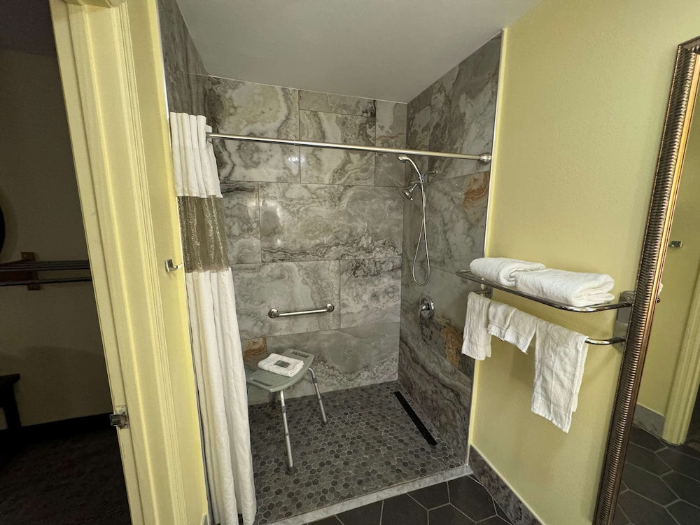 Standard Room, 1 King Bed, Accessible, Bathtub - Photo 4