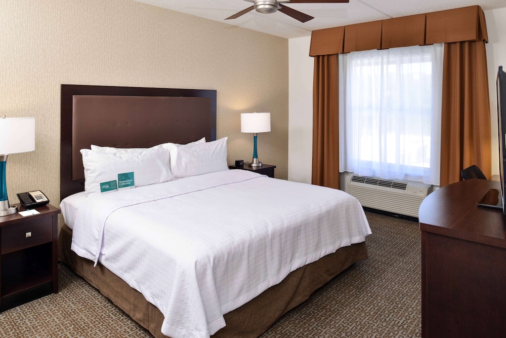 Suite, 1 King Bed with Sofa bed, Accessible photo 2