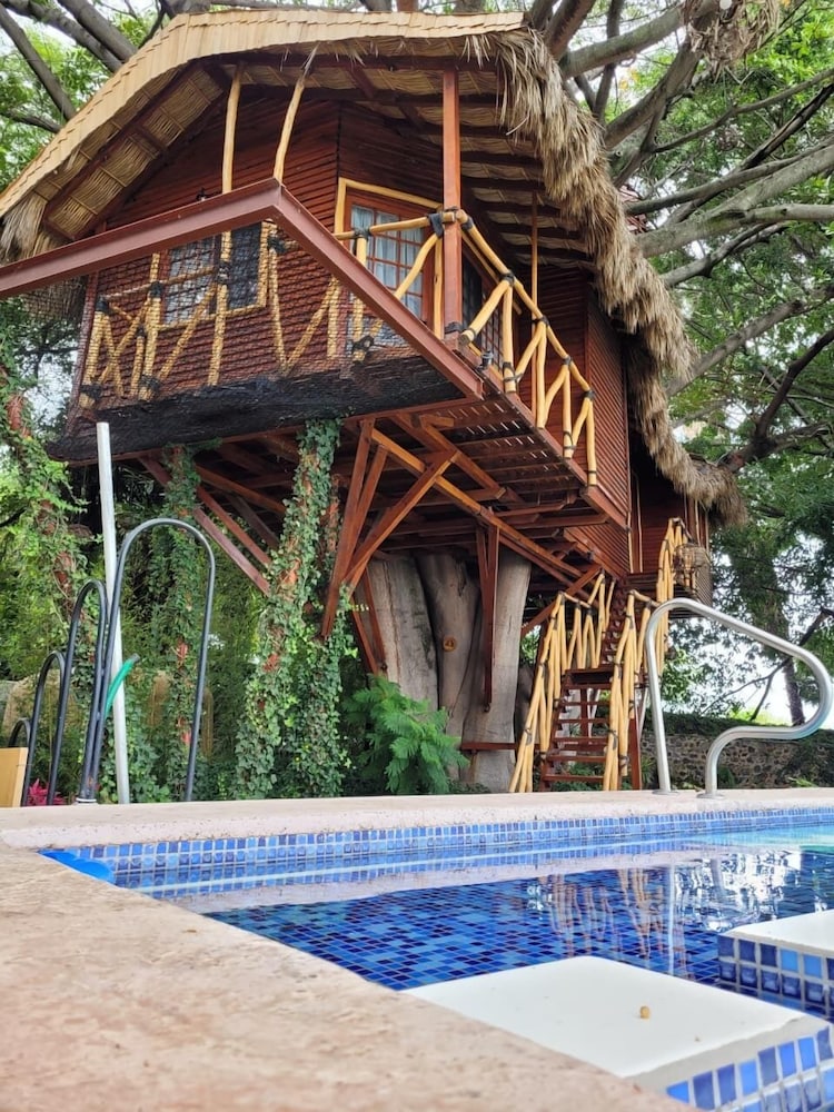 Deluxe Tree House photo 3