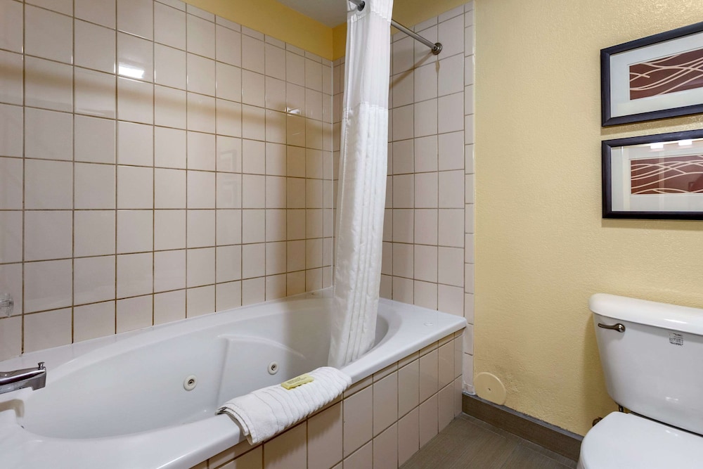 Standard Room, 1 King Bed, Accessible, Non Smoking - Photo 7
