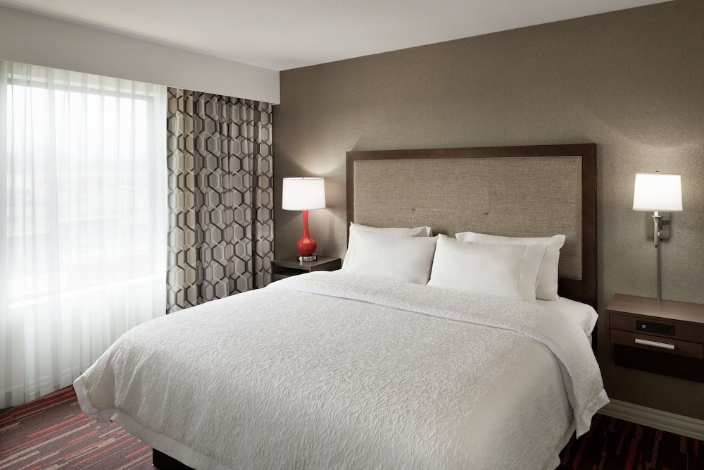 Studio Suite, 1 King Bed, Non Smoking, Refrigerator & Microwave (Wet Bar) photo 3