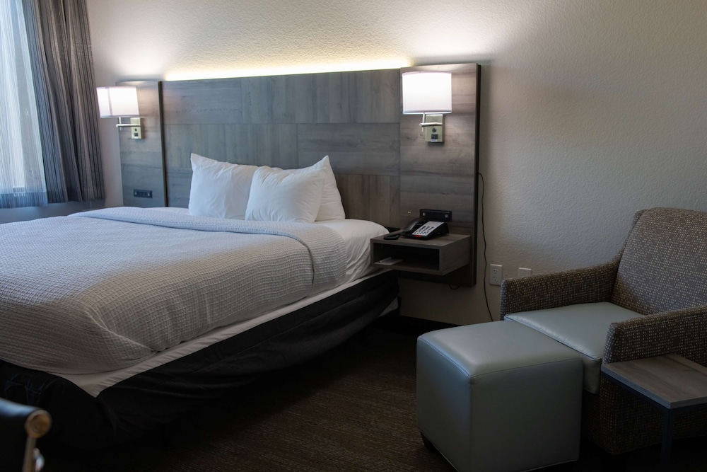 Standard Room, 1 King Bed, Accessible, Kitchenette - Photo 2