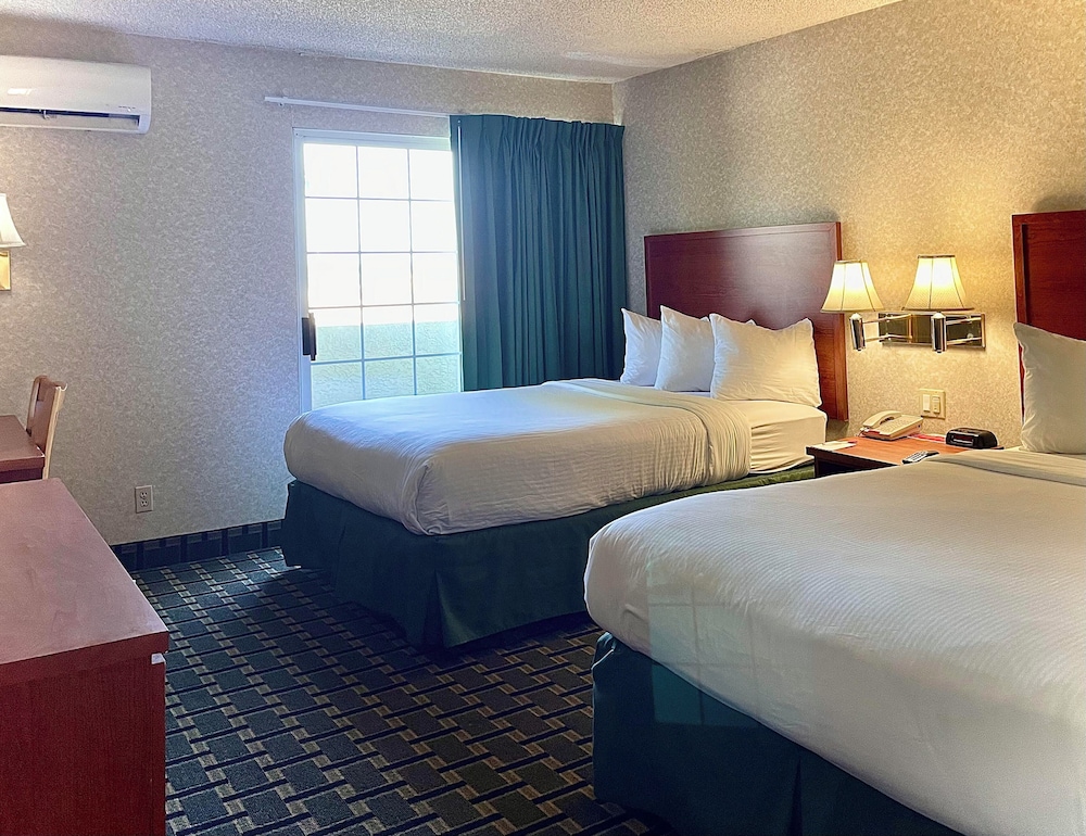 Standard Double Suite Accessible - Photo 1