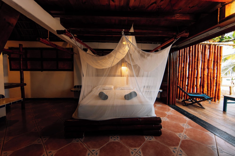 Palapa - Photo 15