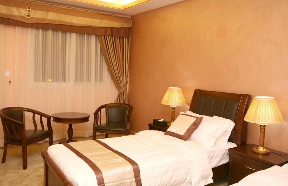 Superior Double Or Twin Room, City View photo 1