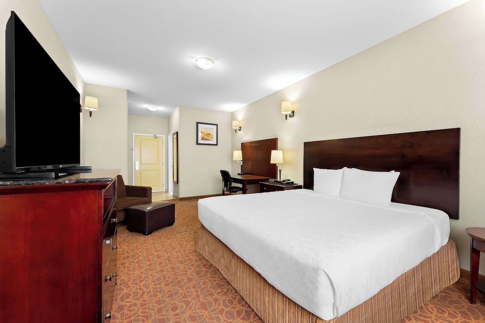 Standard Room, 1 King Bed, Non Smoking, Refrigerator & Microwave (with Sofabed) photo 2