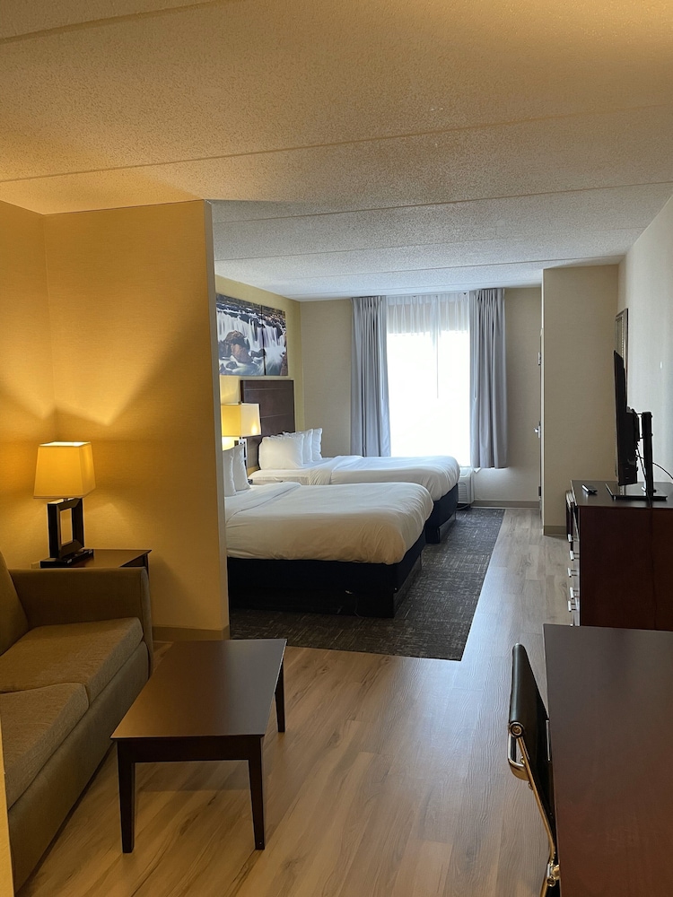 Suite - Photo 3