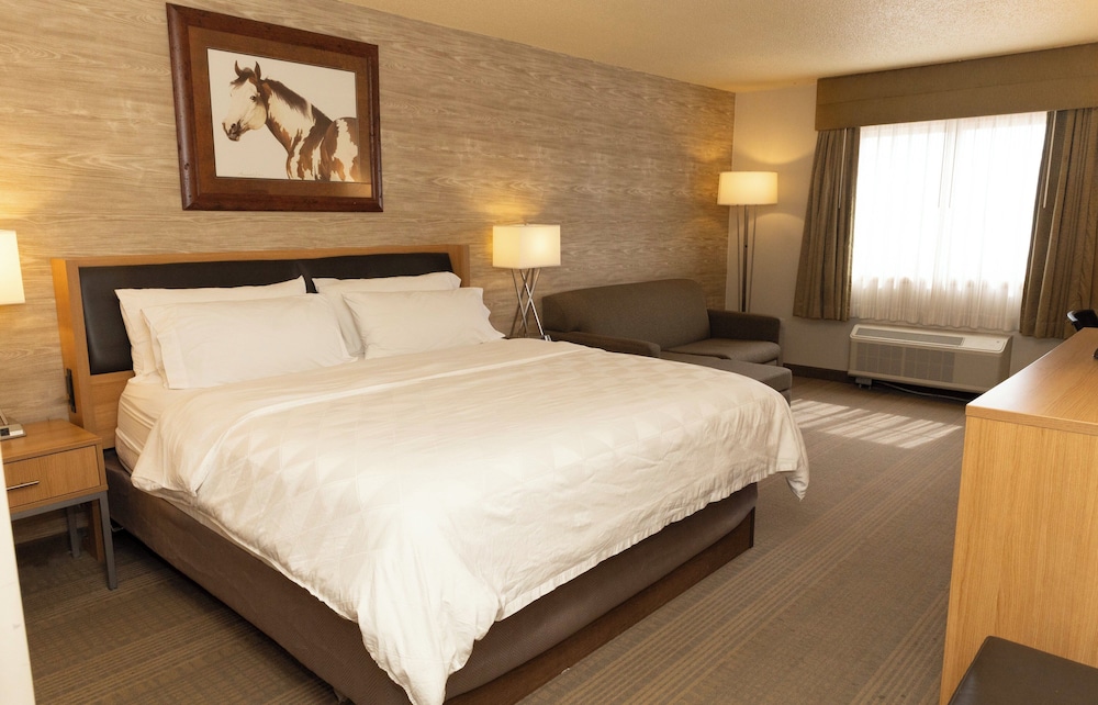 Standard Room, 1 King Bed, Accessible (Mobility, Accessible Tub) photo 1