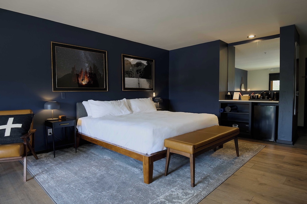 Single Room, 1 King Bed