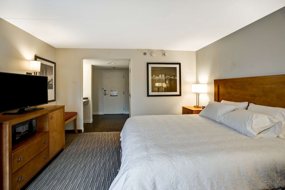 Room, 1 King Bed, Accessible, Bathtub (Refrigerator & Microwave) photo 1