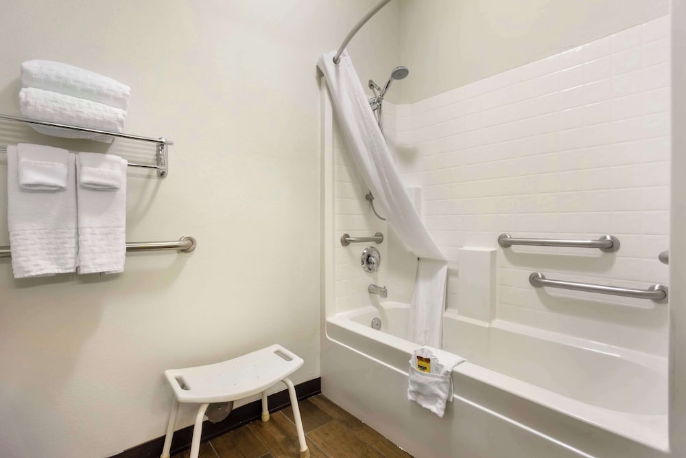 Standard Room, 1 King Bed, Accessible, Refrigerator & Microwave (with Sofabed)