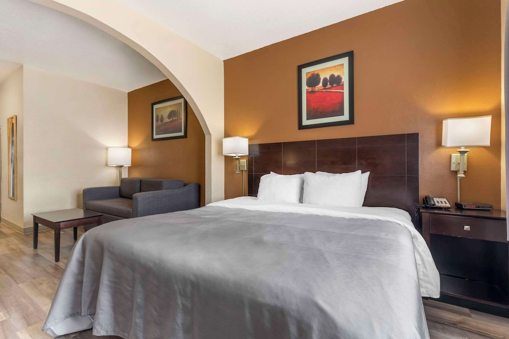 Suite, 1 King Bed with Sofa bed, Non Smoking (Upgrade) - Photo 1