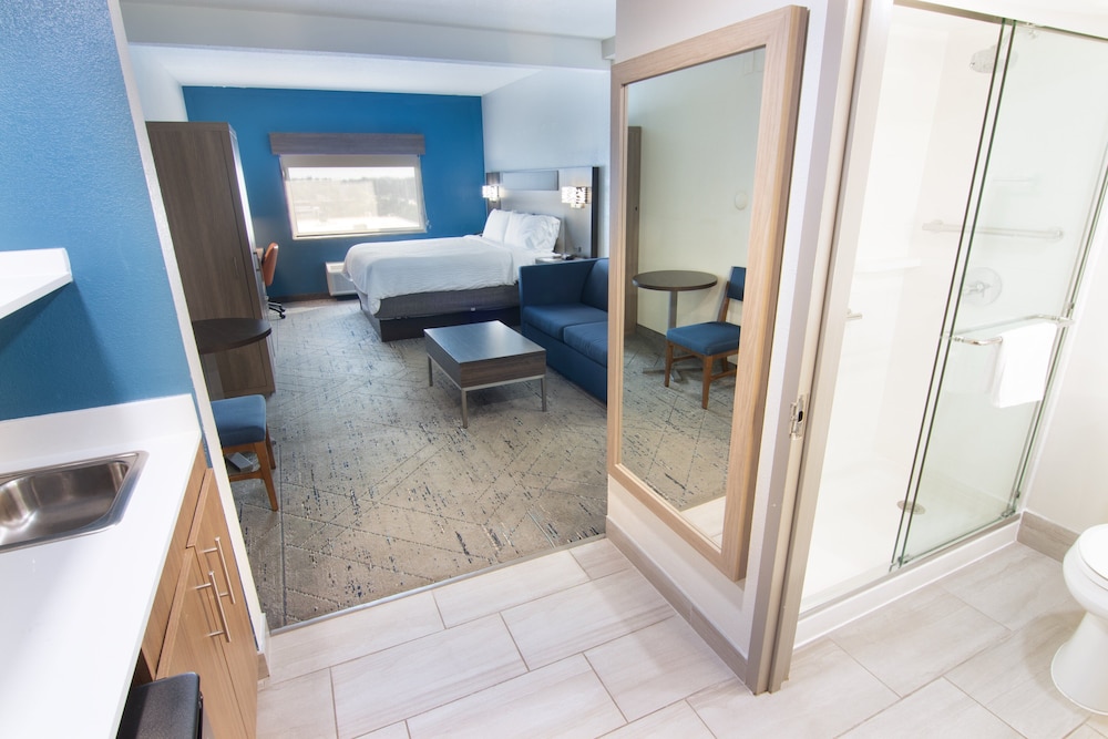 Suite, 1 King Bed - Photo 1