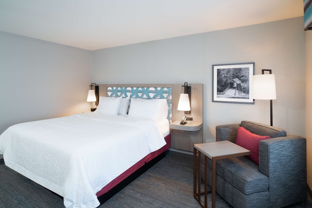 Room, 1 King Bed, Accessible (Mobility & Hearing, Roll-in Shower) - Photo 3