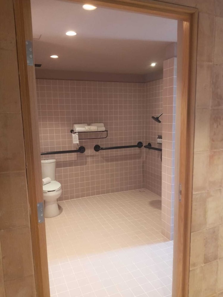 Room, 1 King Bed (Roll-In Shower) - Photo 4