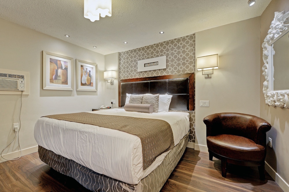 Basic Studio, 1 King Bed photo 1
