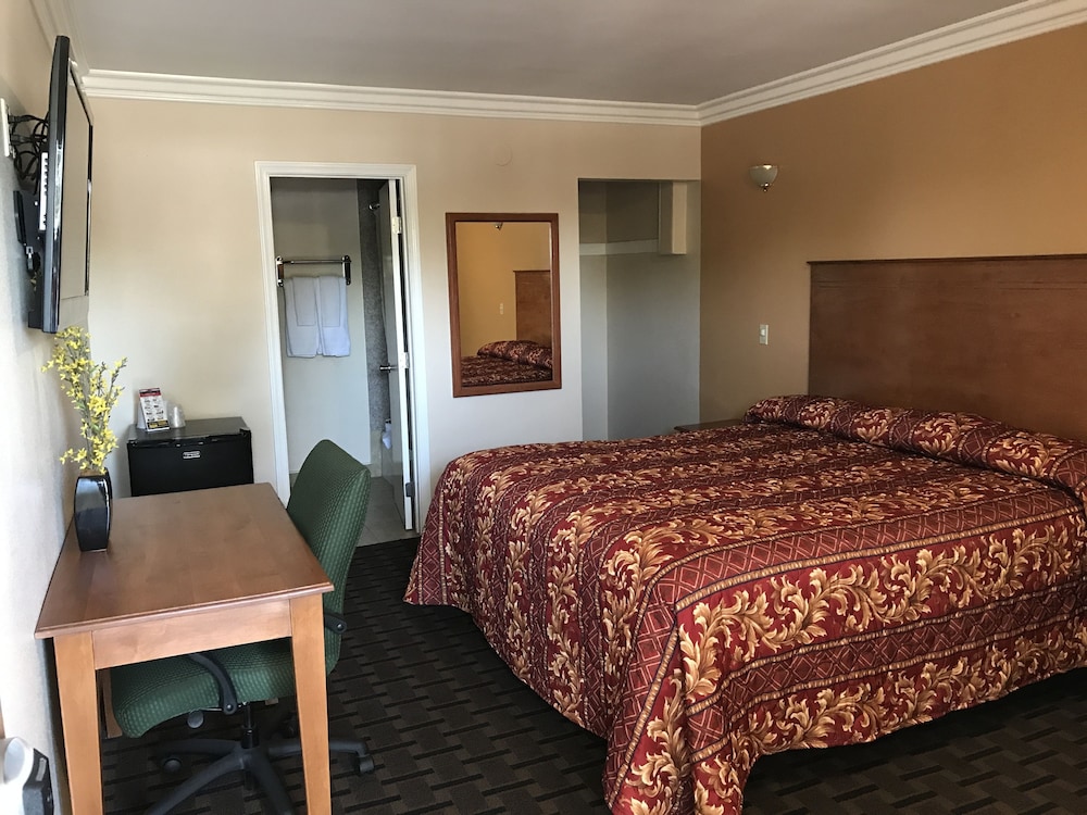 Standard Single Room, 1 Bedroom, Courtyard View photo 1