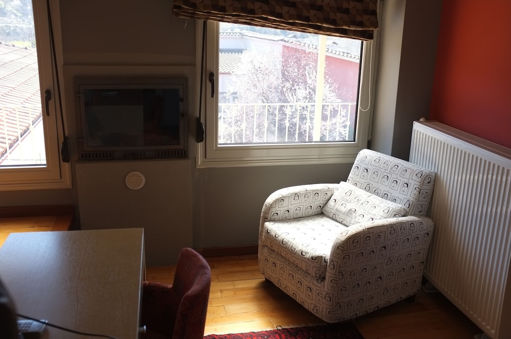 Deluxe Double or Twin Room, Fireplace photo 2
