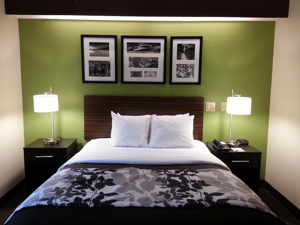 Standard Room, 1 King Bed, Non Smoking - Photo 6