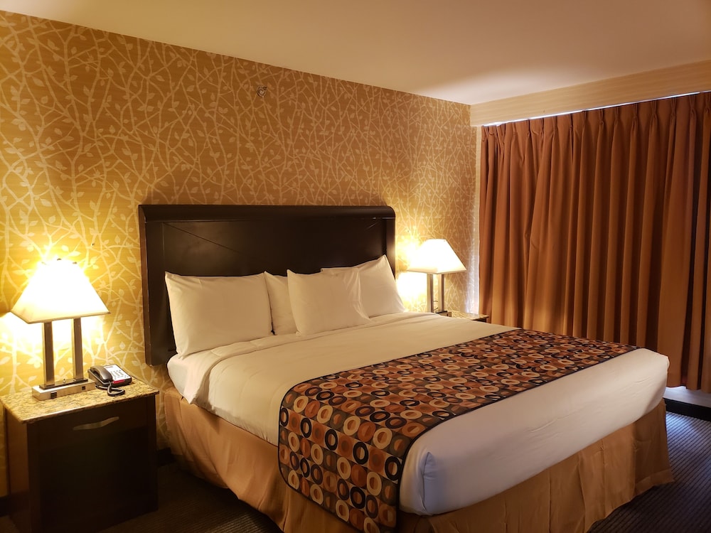 Elite Room photo 2