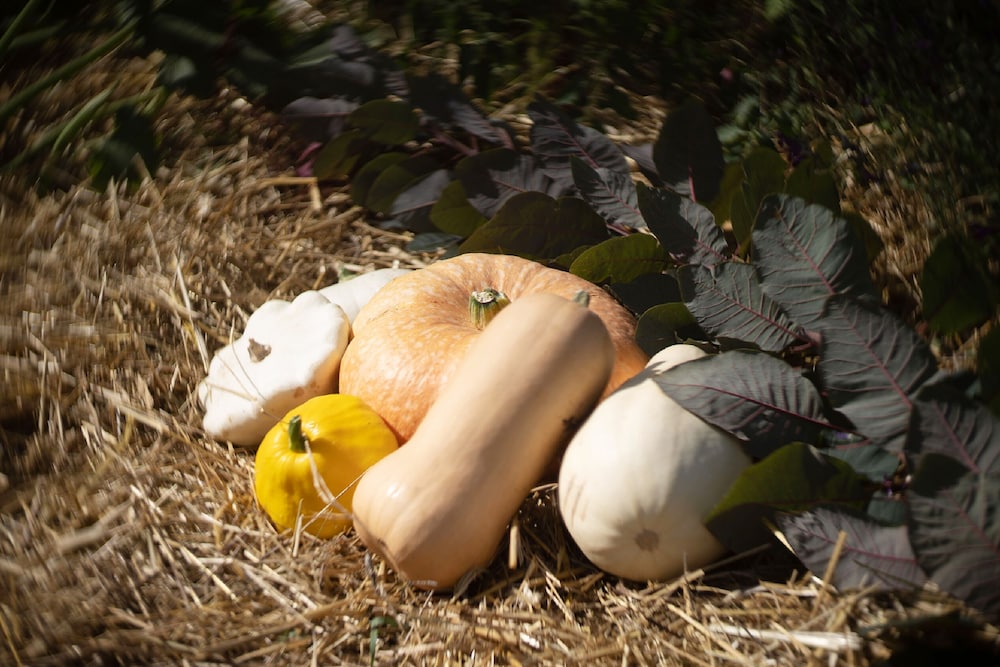 Le Jardin des 4 Saisons, Billede 53