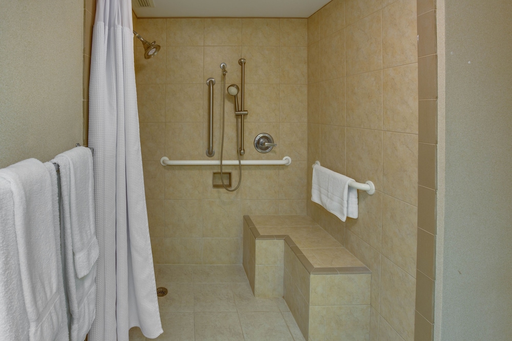 Premium Room, 1 King Bed, Mobility Accessible, Balcony (Mobility) - Photo 1