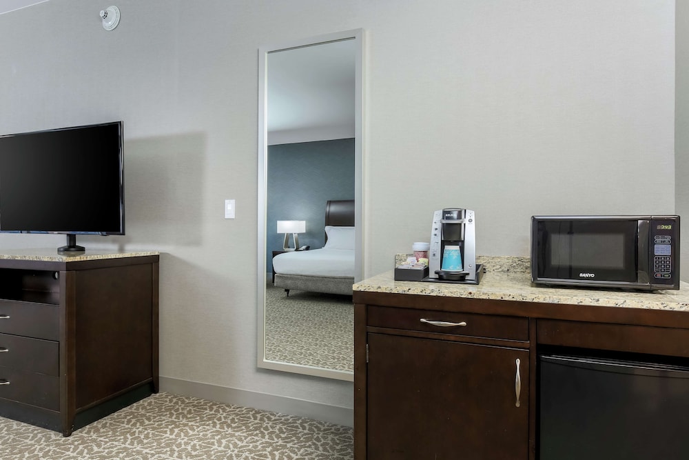 Suite, 1 King Bed, Accessible - Photo 4