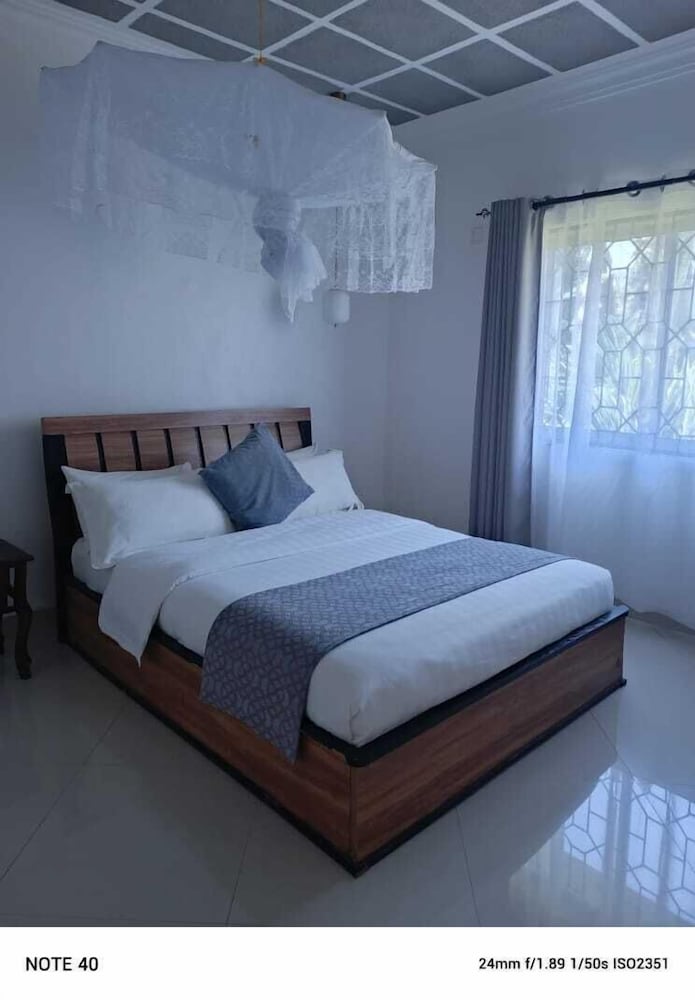 Single Room, Garden View