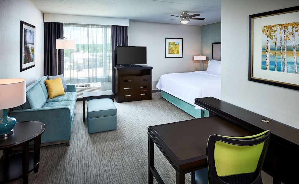 Studio Suite, 1 King Bed, Non Smoking photo 1